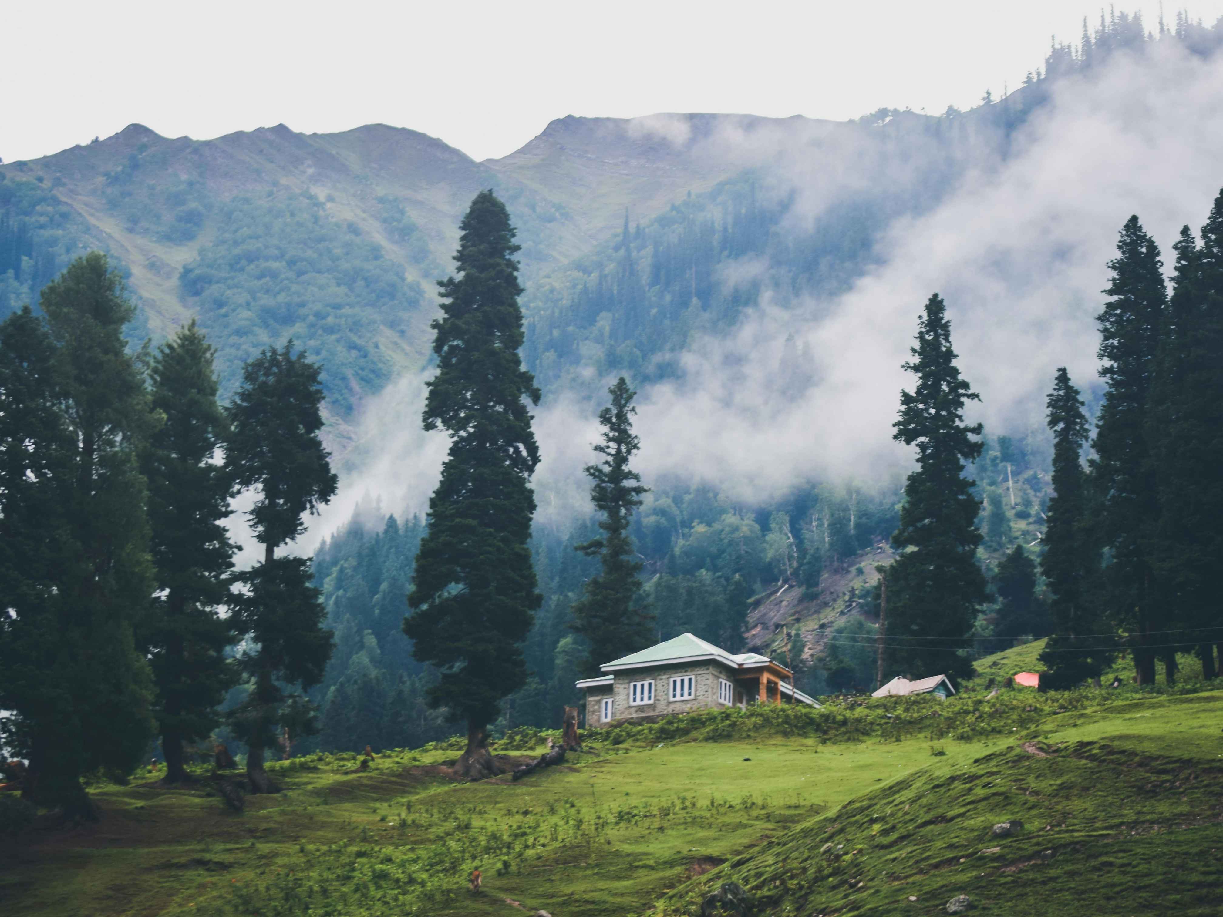 Kashmir Escape: Summer Bliss & Gulmarg Gondola Ride